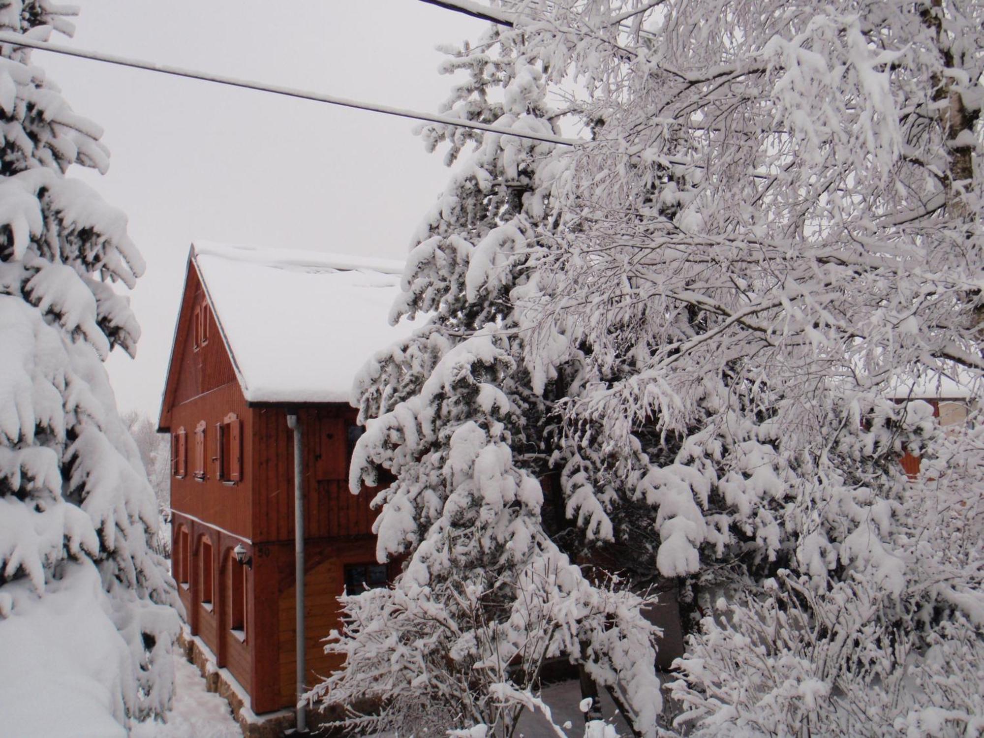 Guest House Sneznik Esterno foto